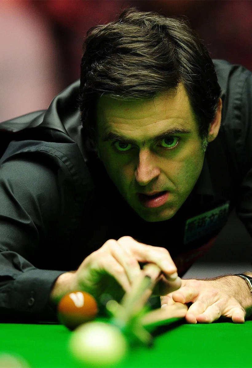 子在球场上 子在球场上